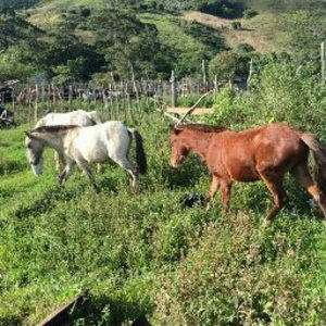 Meet your Posher, Joan